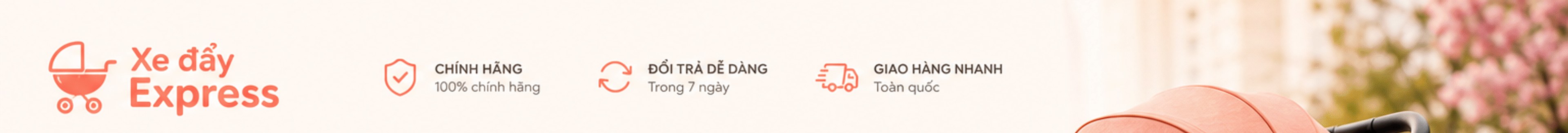 Xe đẩy Express – chính hãng 100%, đổi trả dễ dàng trong 7 ngày, giao hàng nhanh toàn quốc