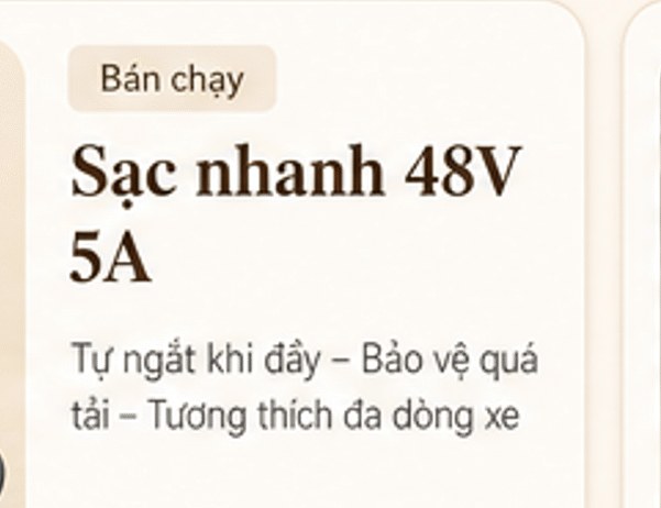 Sạc nhanh 48V 5A – Bán chạy – tự ngắt khi đầy, bảo vệ quá tải, tương thích đa dòng xe