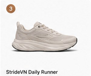 StrideVN Daily Runner