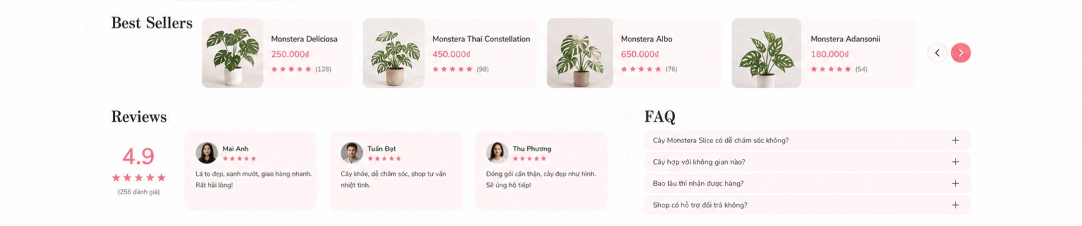 Best Sellers: Monstera Deliciosa 250.000đ, Thai Constellation 450.000đ, Albo 650.000đ, Adansonii 180.000đ; Reviews 4.9 sao (256 đánh giá); FAQ chăm sóc, không gian, bảo hành, đổi trả