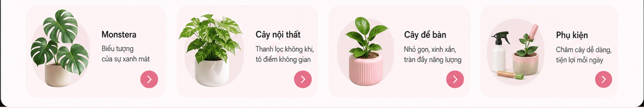 Danh mục: Monstera, Cây nội thất, Cây để bàn, Phụ kiện