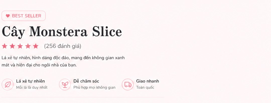 Best seller – Cây Monstera Slice, 5 sao (256 đánh giá); lá xẻ tự nhiên, dáng độc đáo; Lá xẻ tự nhiên, Dễ chăm sóc, Giao nhanh