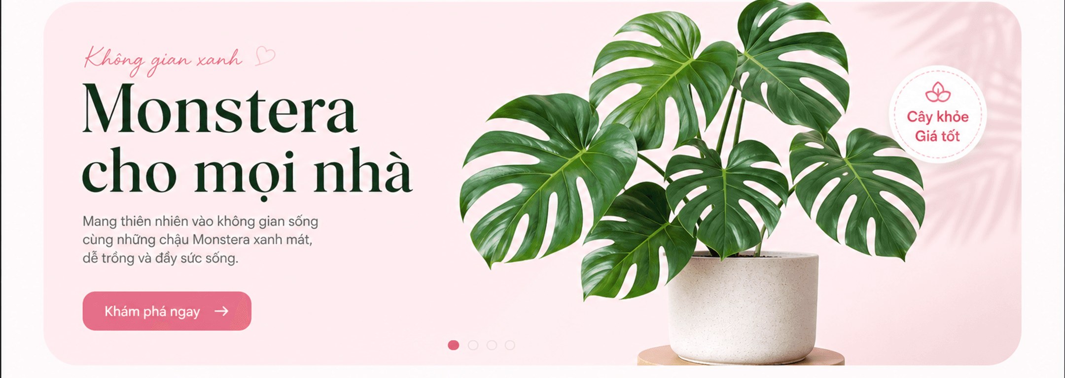 Không gian xanh – Monstera cho mọi nhà: mang thiên nhiên vào không gian sống cùng chậu Monstera xanh mát, dễ trồng. Nút Khám phá ngay, nhãn Cây khỏe giá tốt