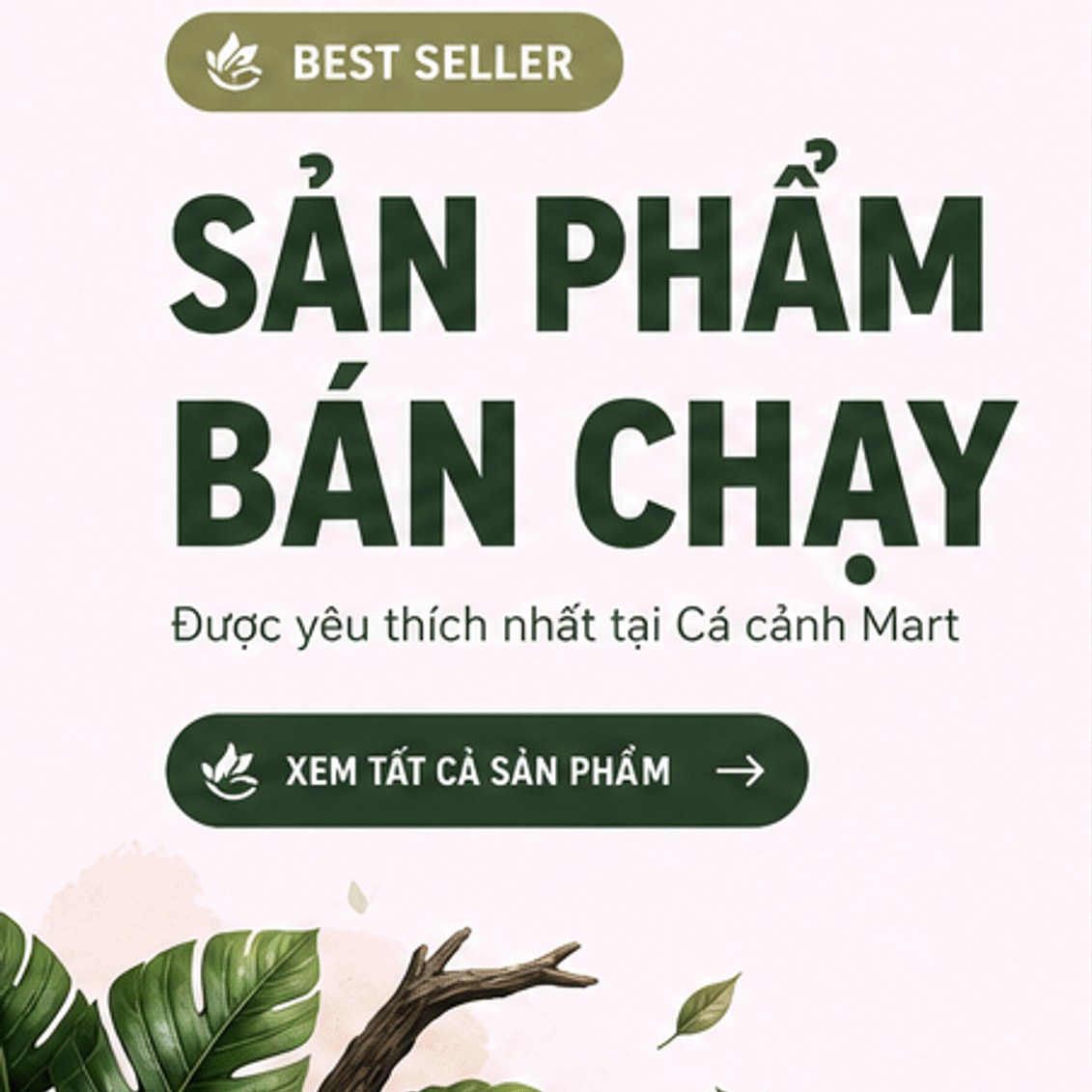 Best seller – Sản phẩm bán chạy