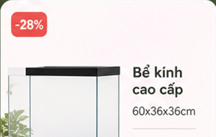 Bể kính cao cấp 60x36x36cm