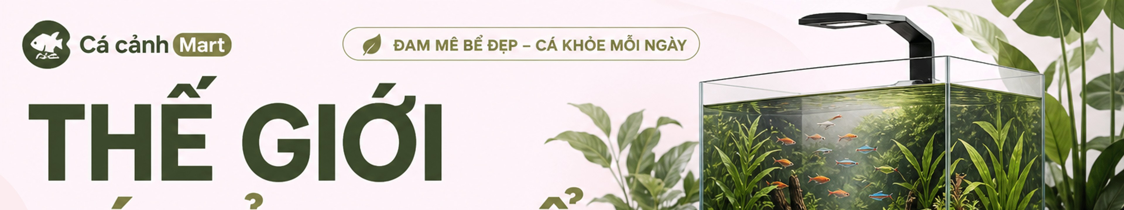 Cá cảnh Mart – Đam mê bể đẹp, cá khỏe mỗi ngày; Thế giới cá cảnh và bể thủy sinh